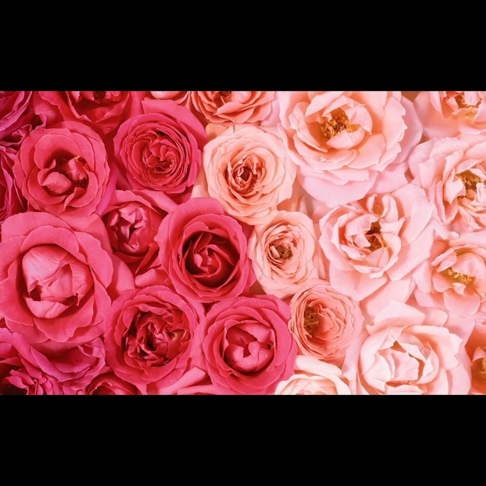 Meet your Posher, Kandice